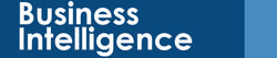 V3Main Business Intelligence